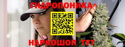 ешки Будённовск