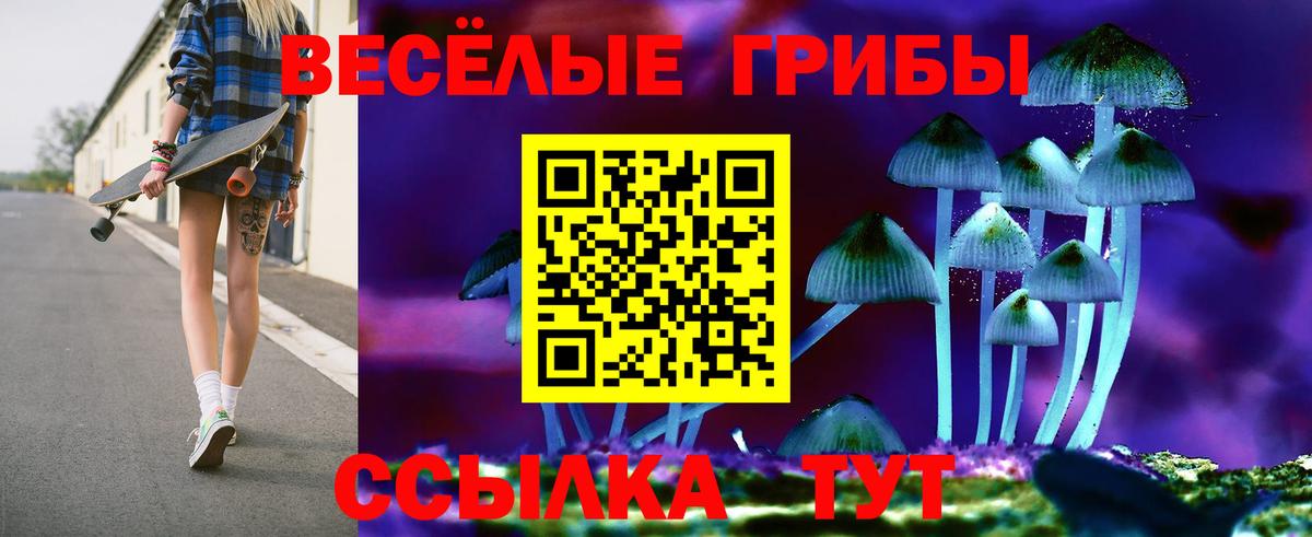 купить  цена  Вход с VPN  Галлюциногенные грибы MAGIC MUSHROOMS  Озёры  Псилоцибиновые грибы Magic Shrooms 